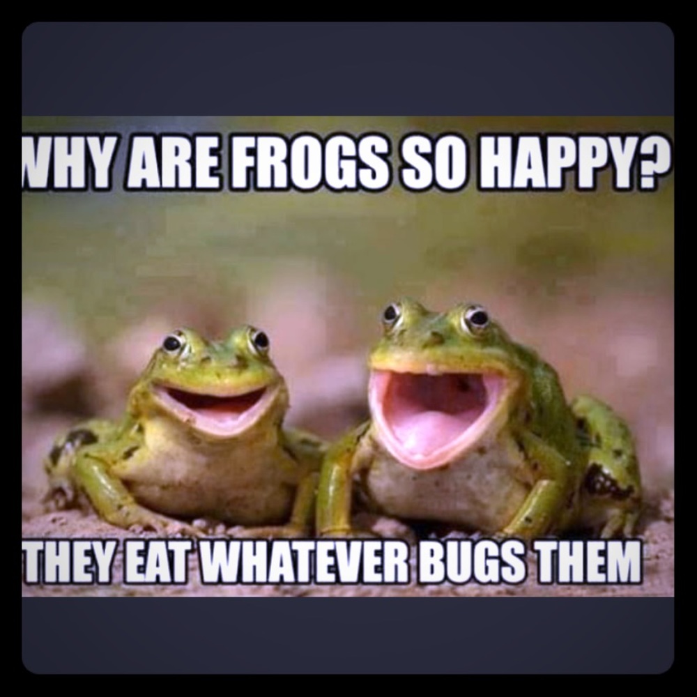 Bwahahahaha